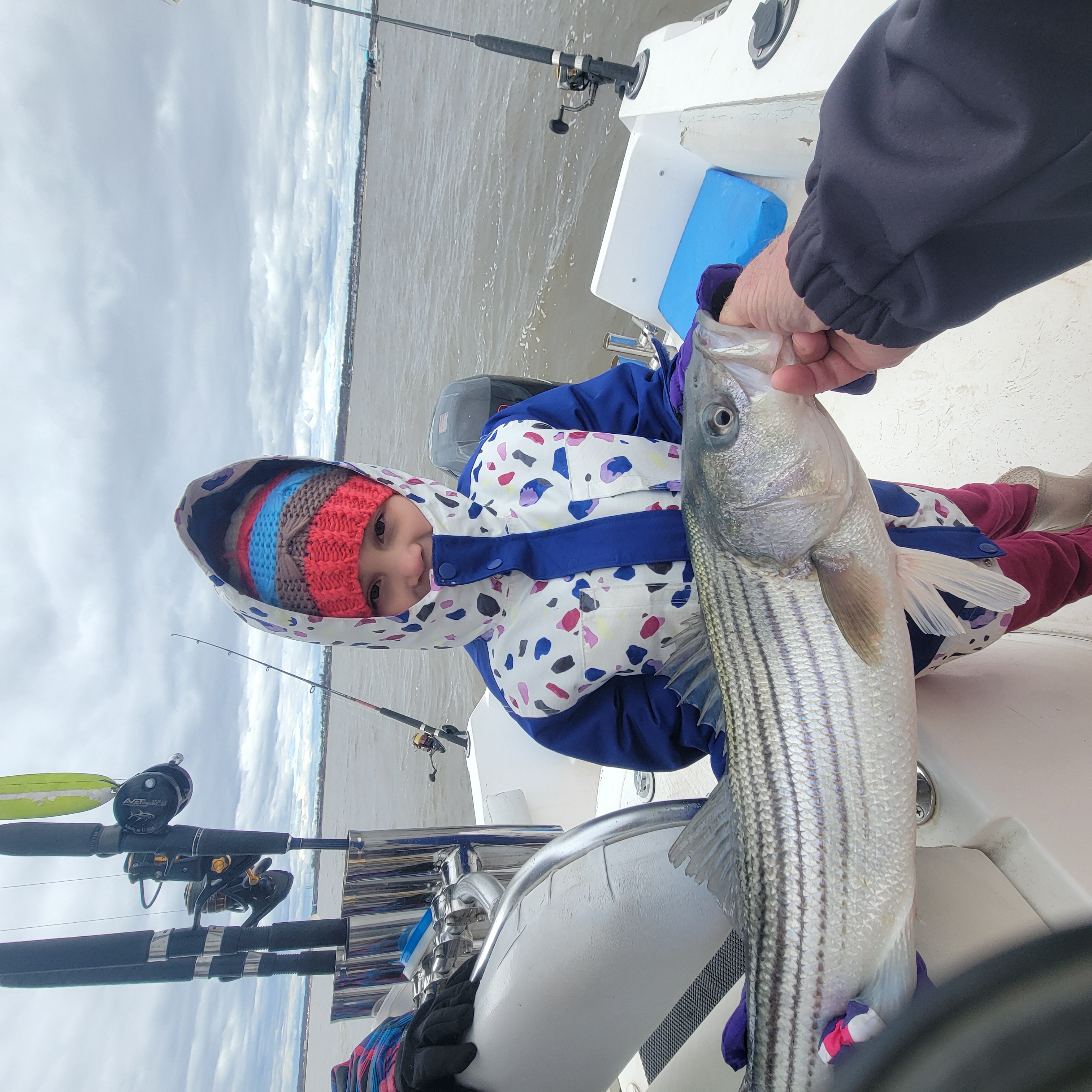 Striped bass caught by angler in New Jersey