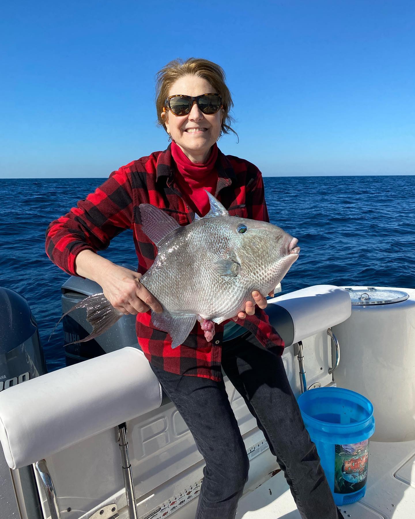 A grey triggerfish caught during a fishing trip in Palmetto.