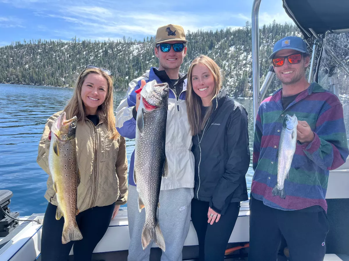 3 lake trout and rainbow trout caught at south lake tahoe