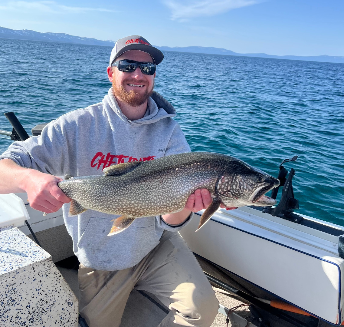 Magnificent Lake Trout caught in CA