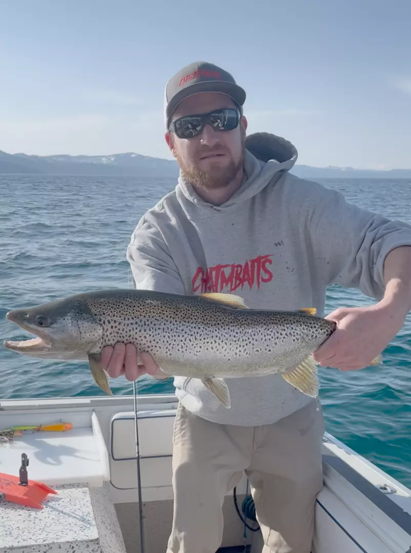 One rainbow trout caught while fishing in South Lake Tahoe