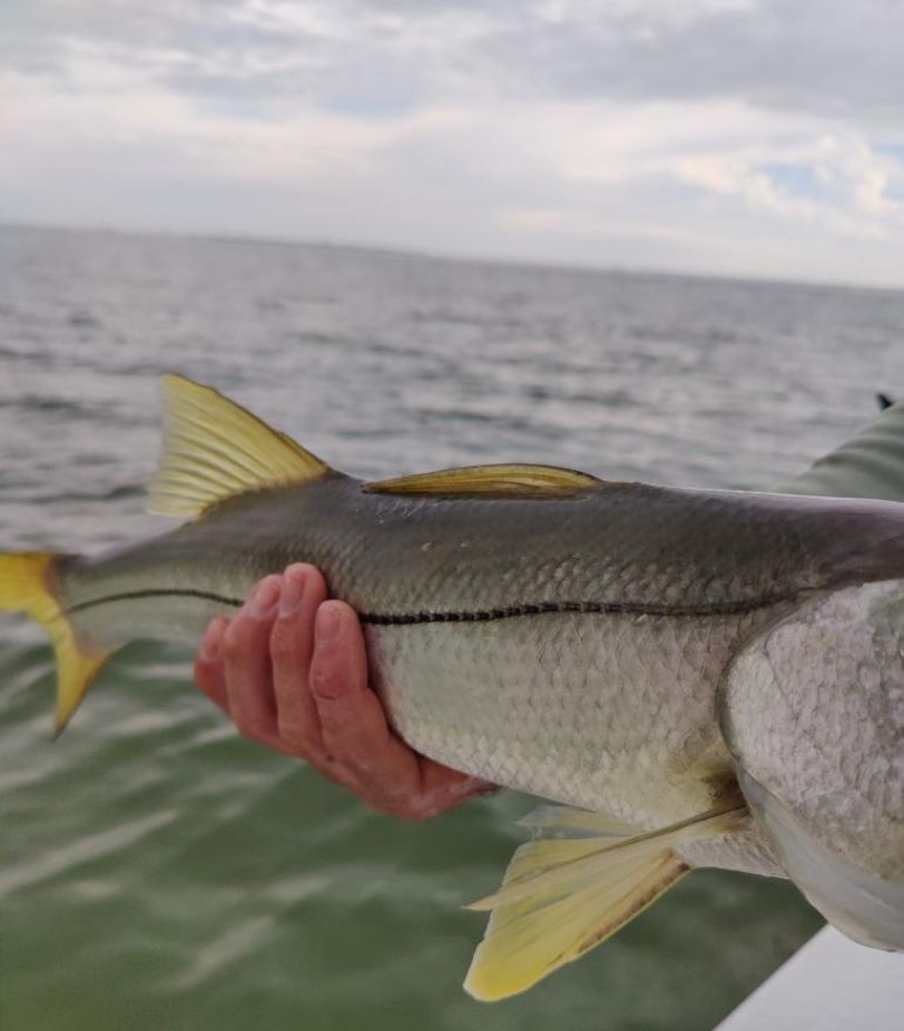 A fishing trip in FL