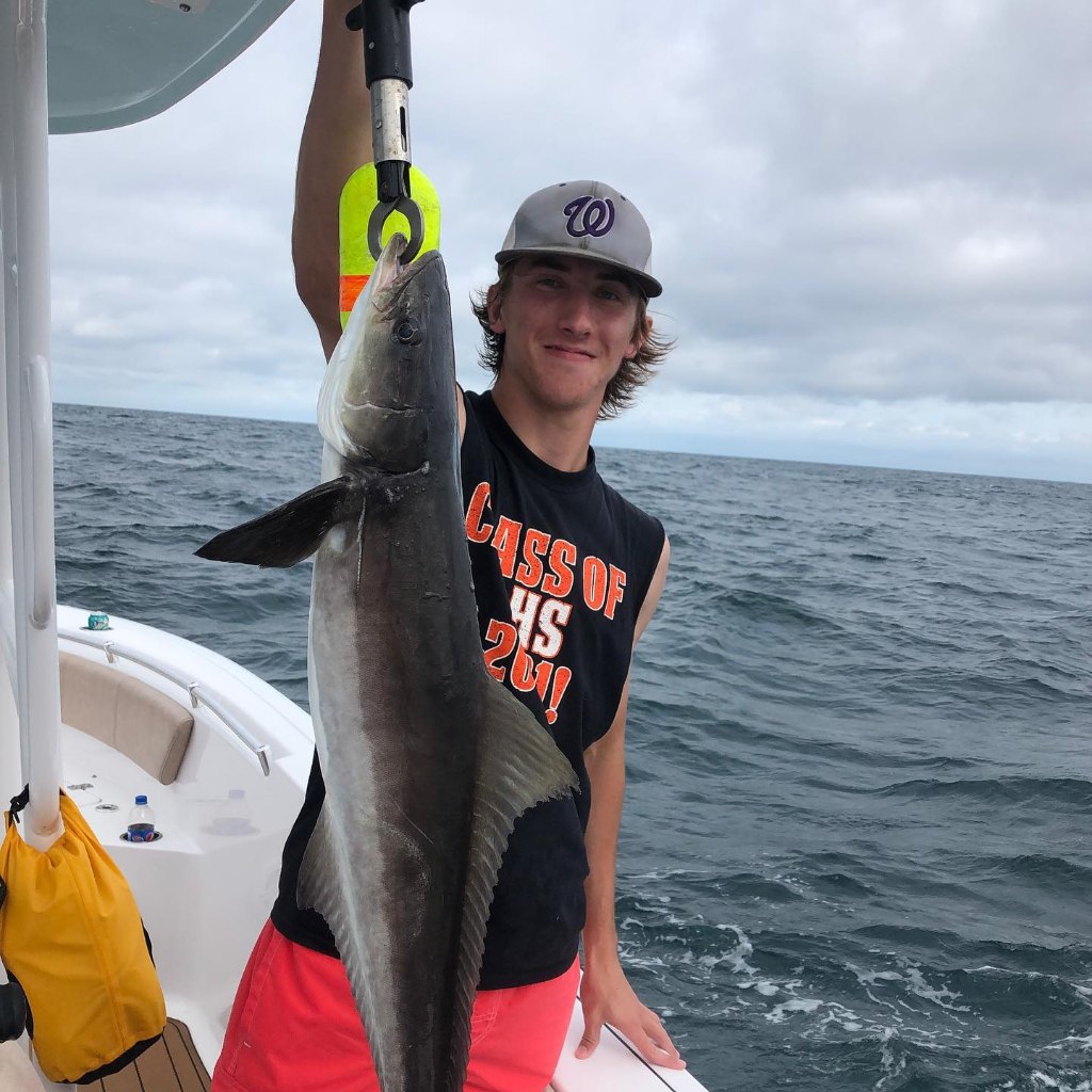 Cobia Fish from North Myrtle Beach