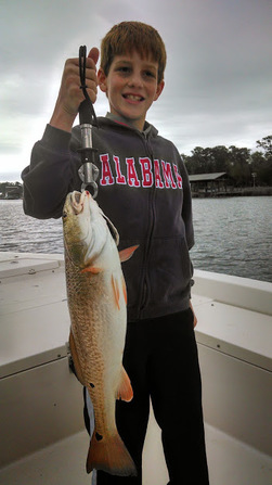 Angler with a 23-inch catch at Fairhope