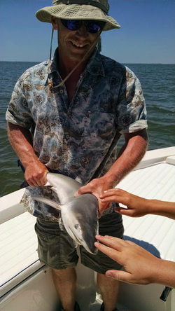 Fishing adventure in AL