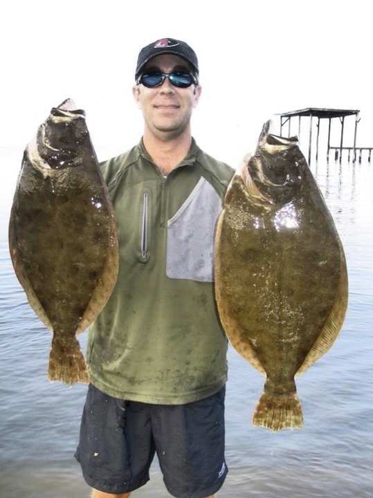 Two Summer Flounder and California Flounder fish in Fairhope