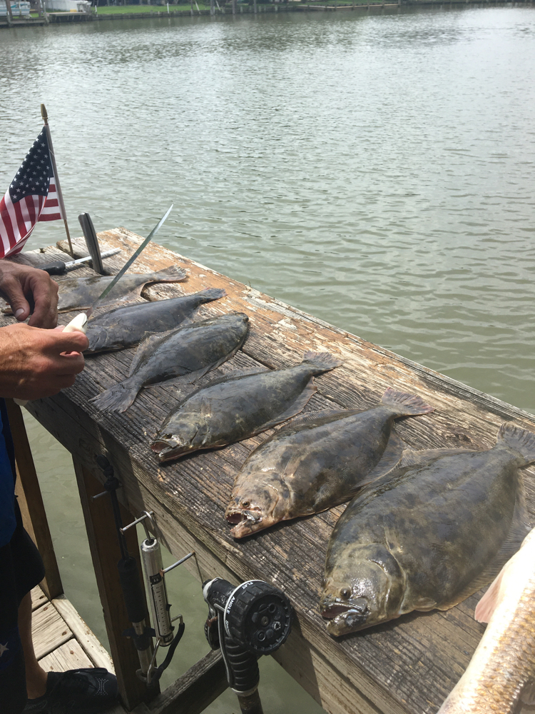 Four fish caught in Kemah