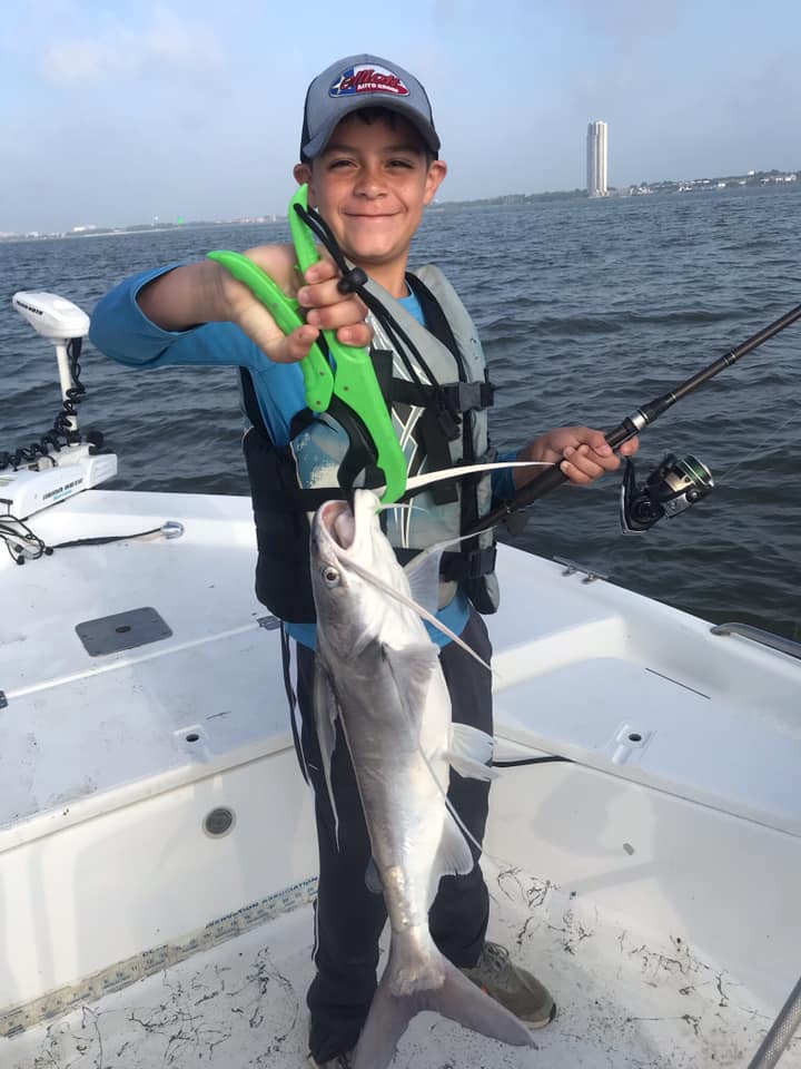 Gafftopsail sea catfish, 21 inches, caught in Kemah