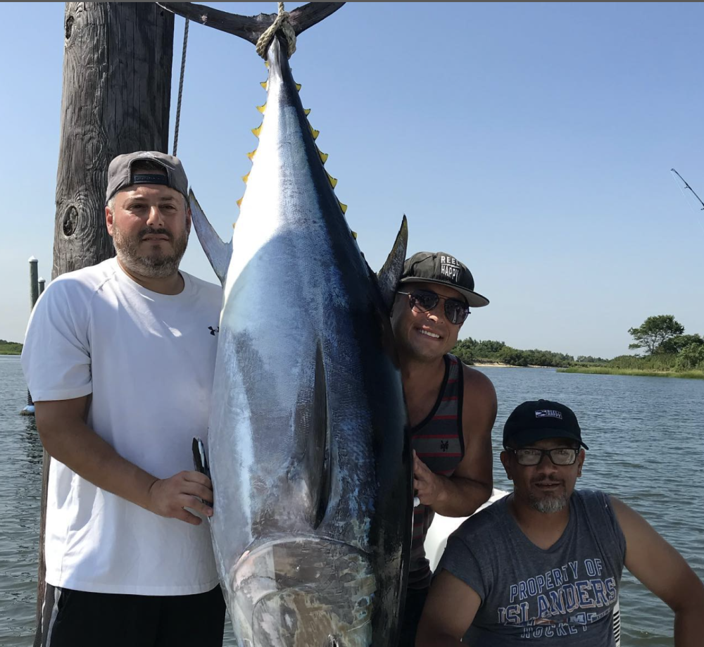 Blackfin Tuna, a 36-inch fish, caught by 3 people on Island Park