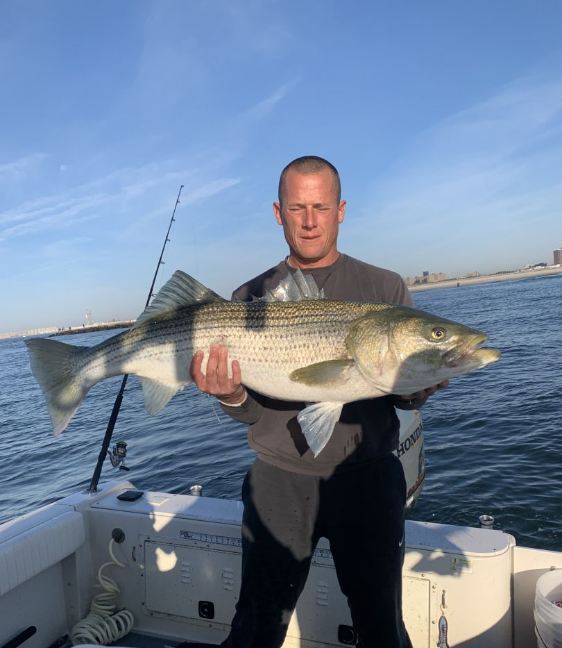 Striped bass caught by angler on Island Park