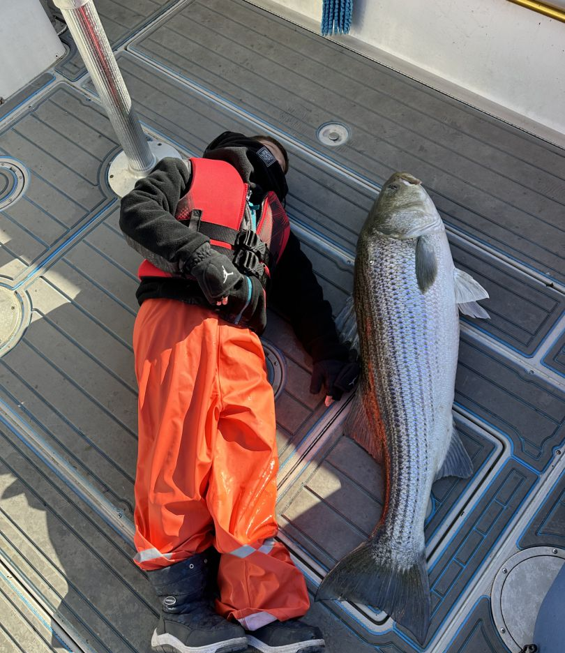 Striped bass caught during fishing trip at Island Park