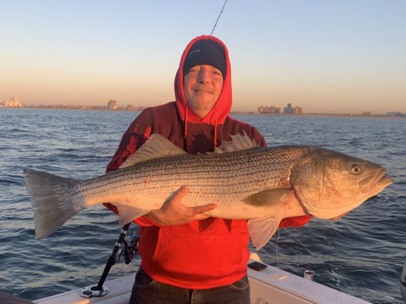 Striped bass caught in NY