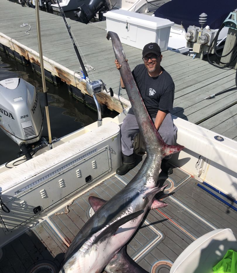Swordfish caught on fishing trip at Island Park