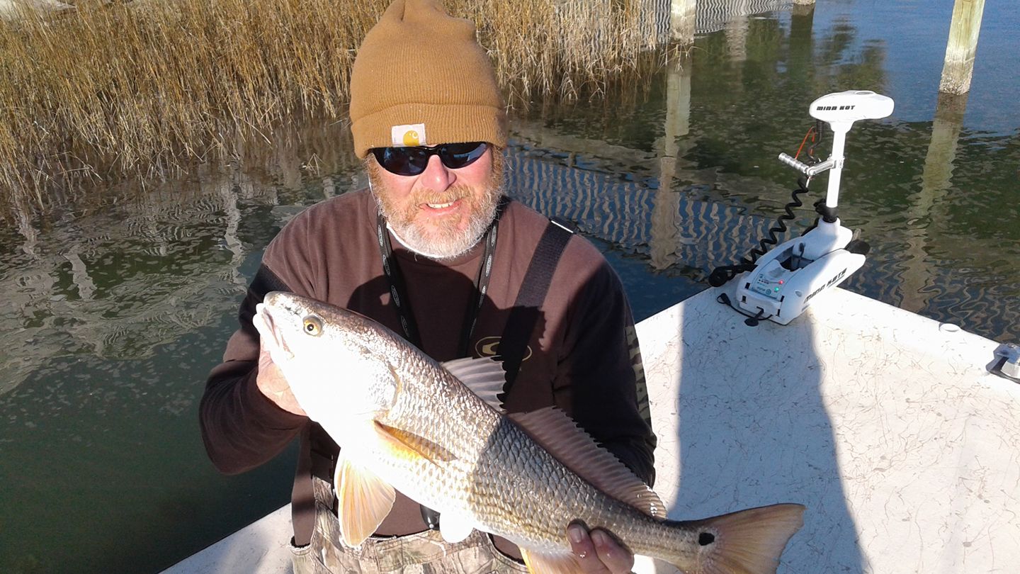 A single redfish measuring 17 inches, caught while fishing at North Topsail Beach
