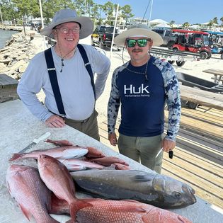 Two anglers with 3 huge pollock and greater amberjack fish in AL