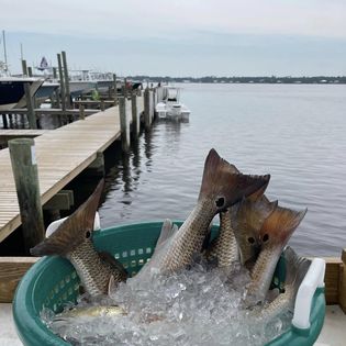 Fishing in Alabama