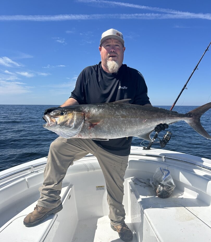 Greater amberjack caught while fishing in St. Augustine FL waters