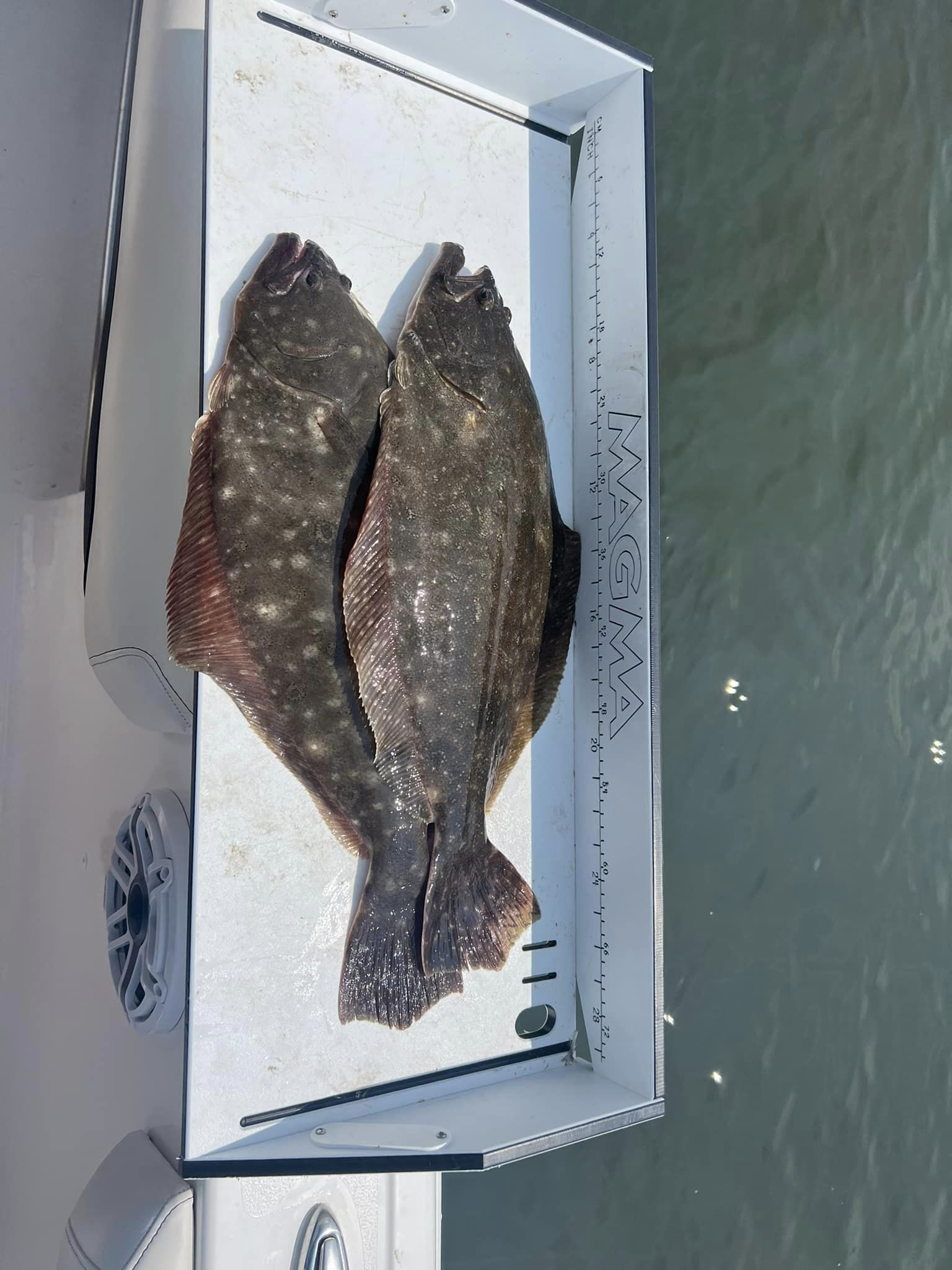 Two summer flounder caught in Ocean City