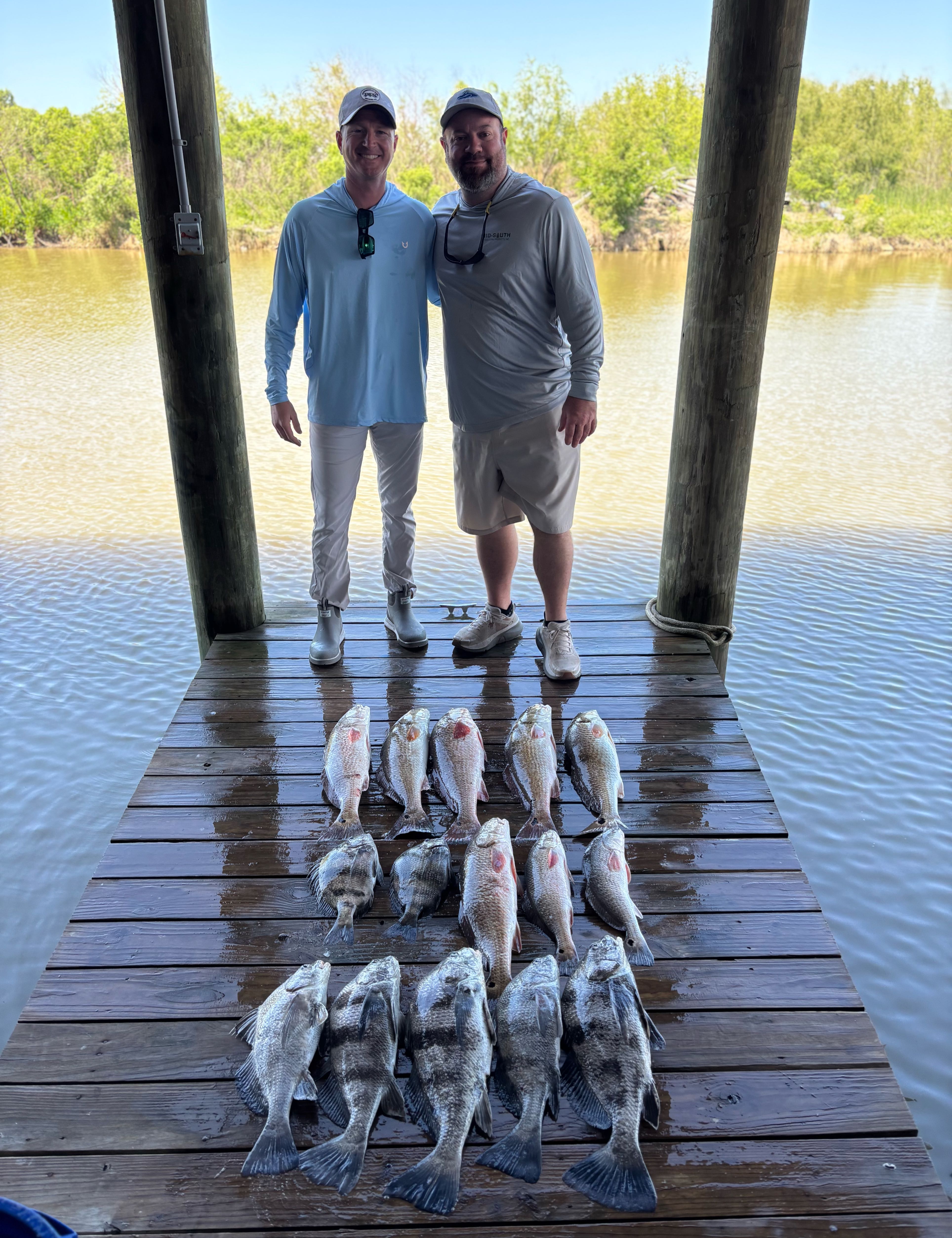 Four huge black drum fish caught during a fishing trip in LA