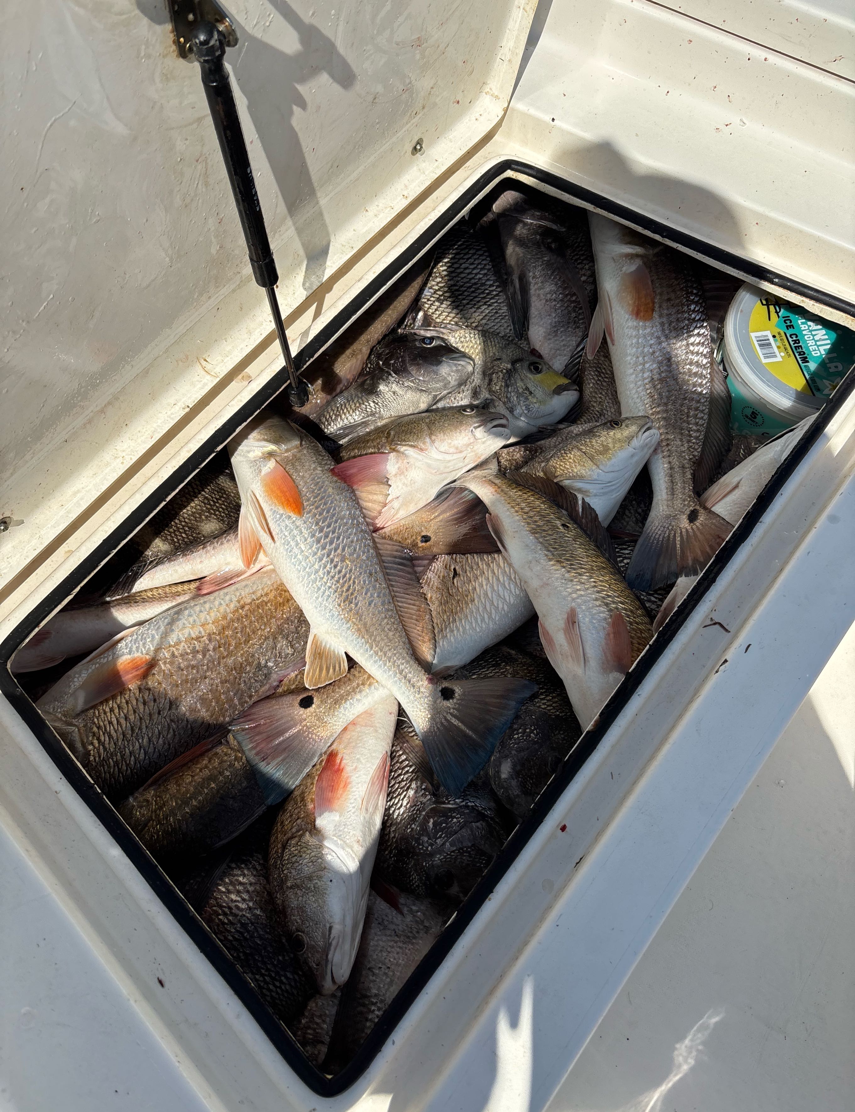 3 fishing in buras
