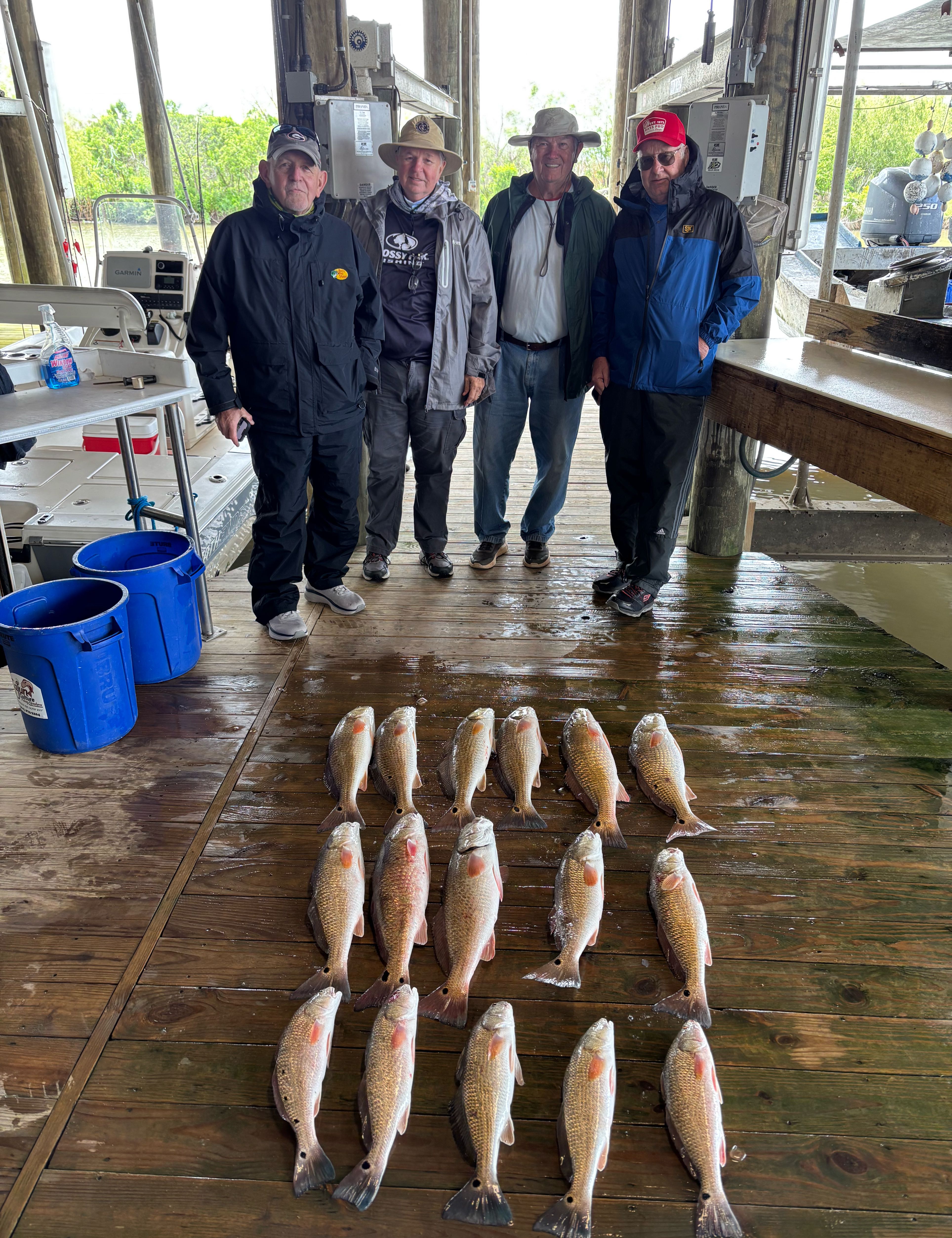 Twelve redfish caught in Buras, Louisiana