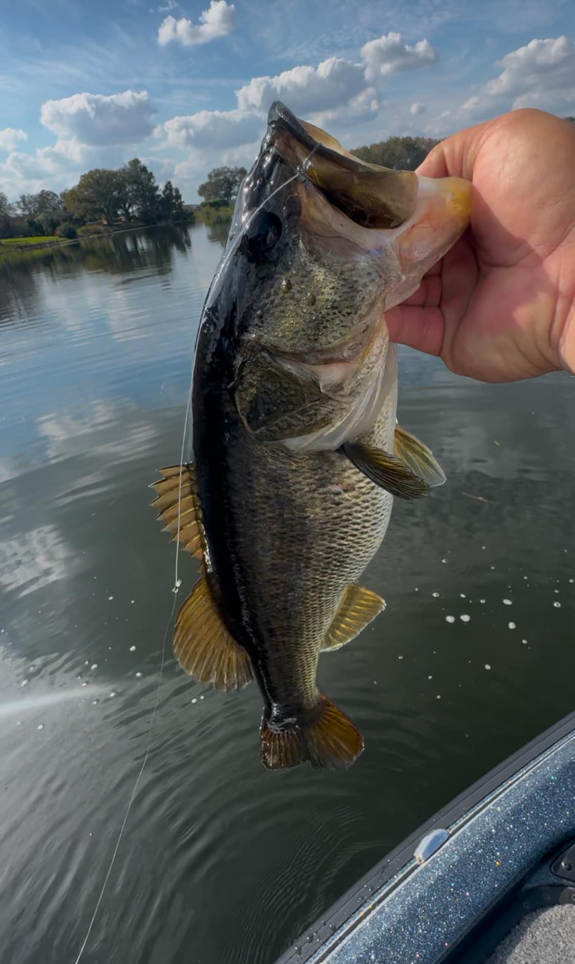 Fishing in Winter Haven
