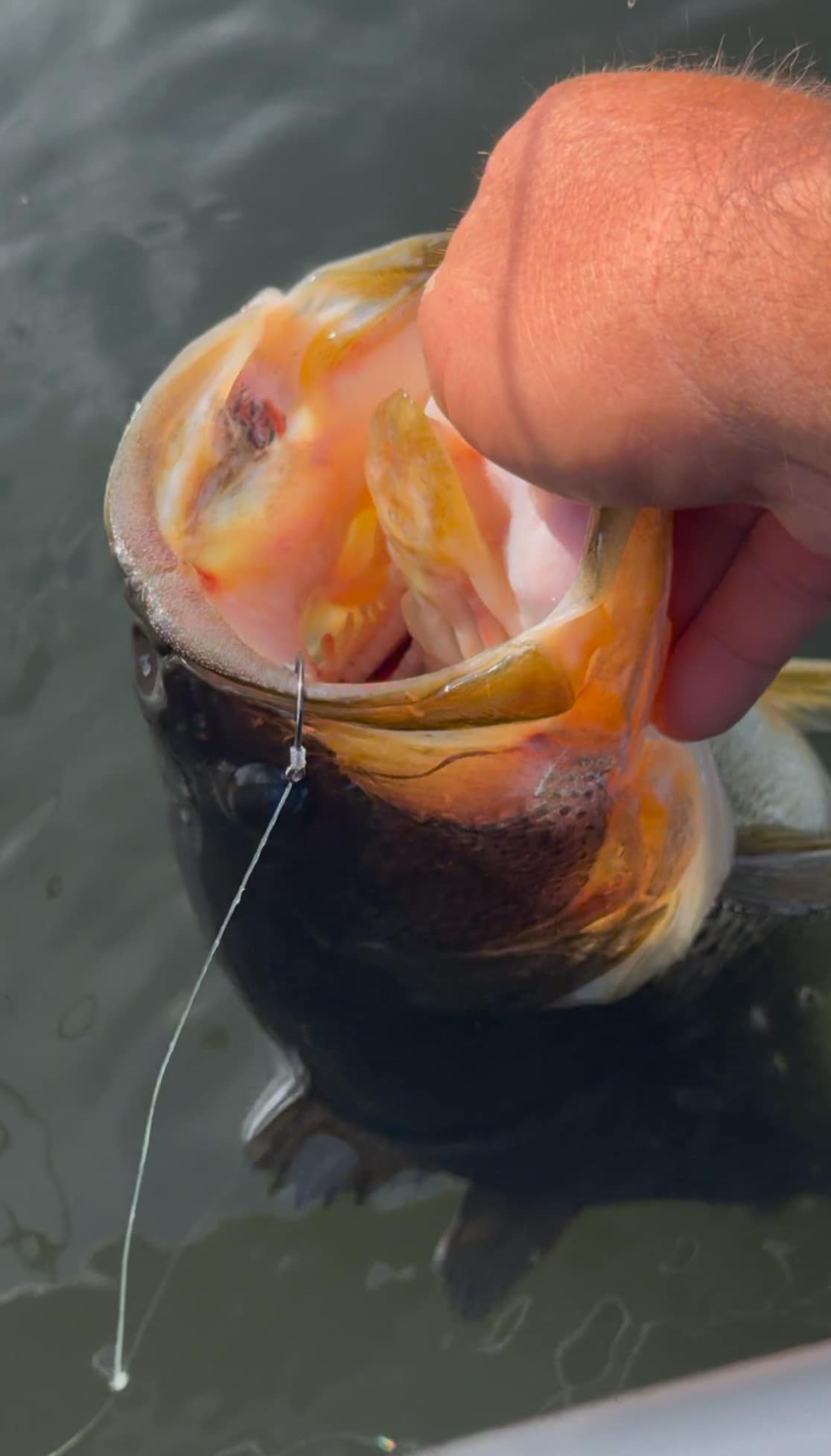 Fishing at the picturesque location of Winter Haven