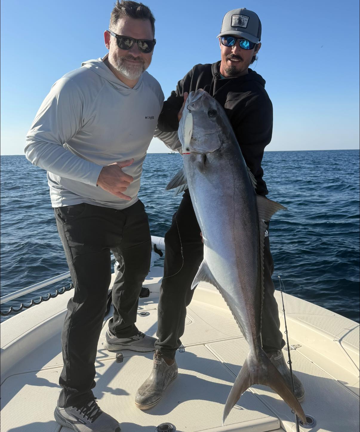 Greater amberjack catch on fishing boat in Pensacola FL waters