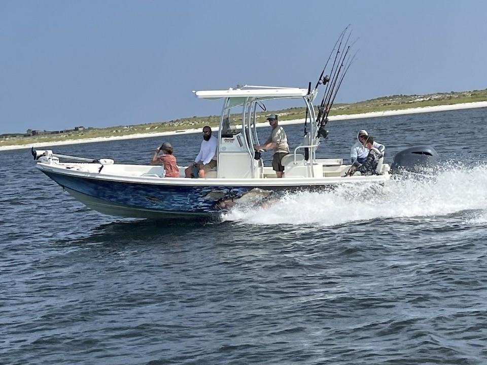 Dolphin tour boat in Pensacola bay with dolphins swimming nearby, 6-person capacity vessel