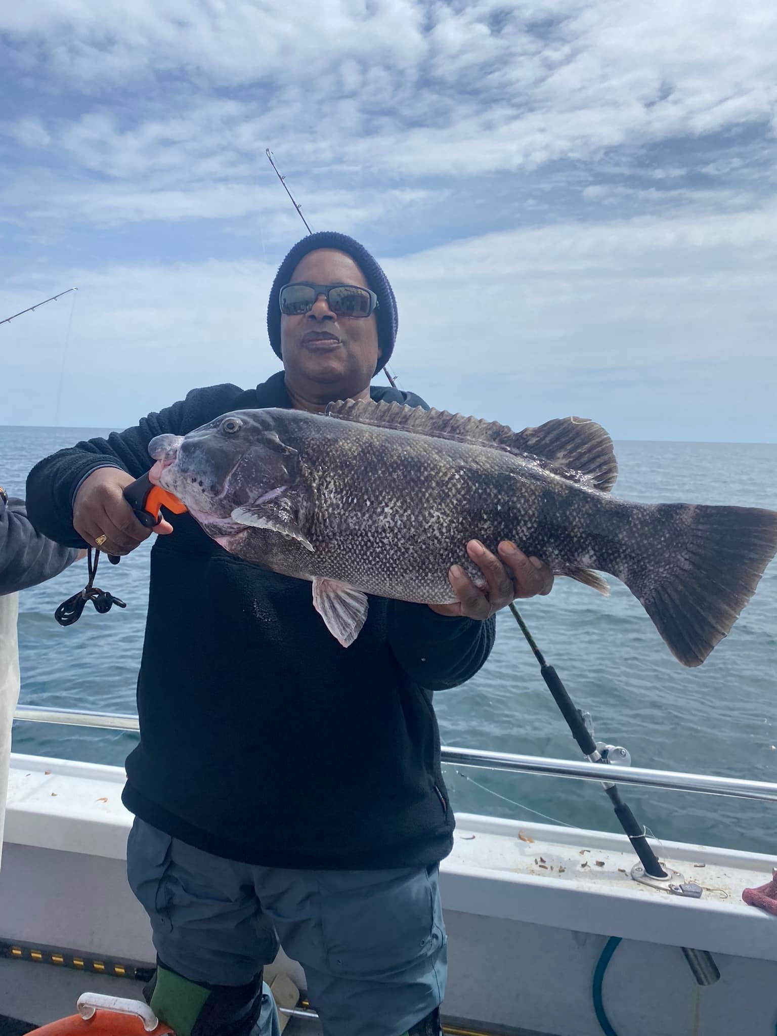 Impressive tautog fish caught by angler
