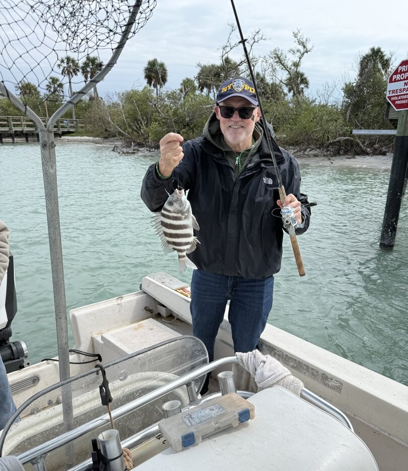 Sheepshead fish caught during fishing tour in Englewood FL