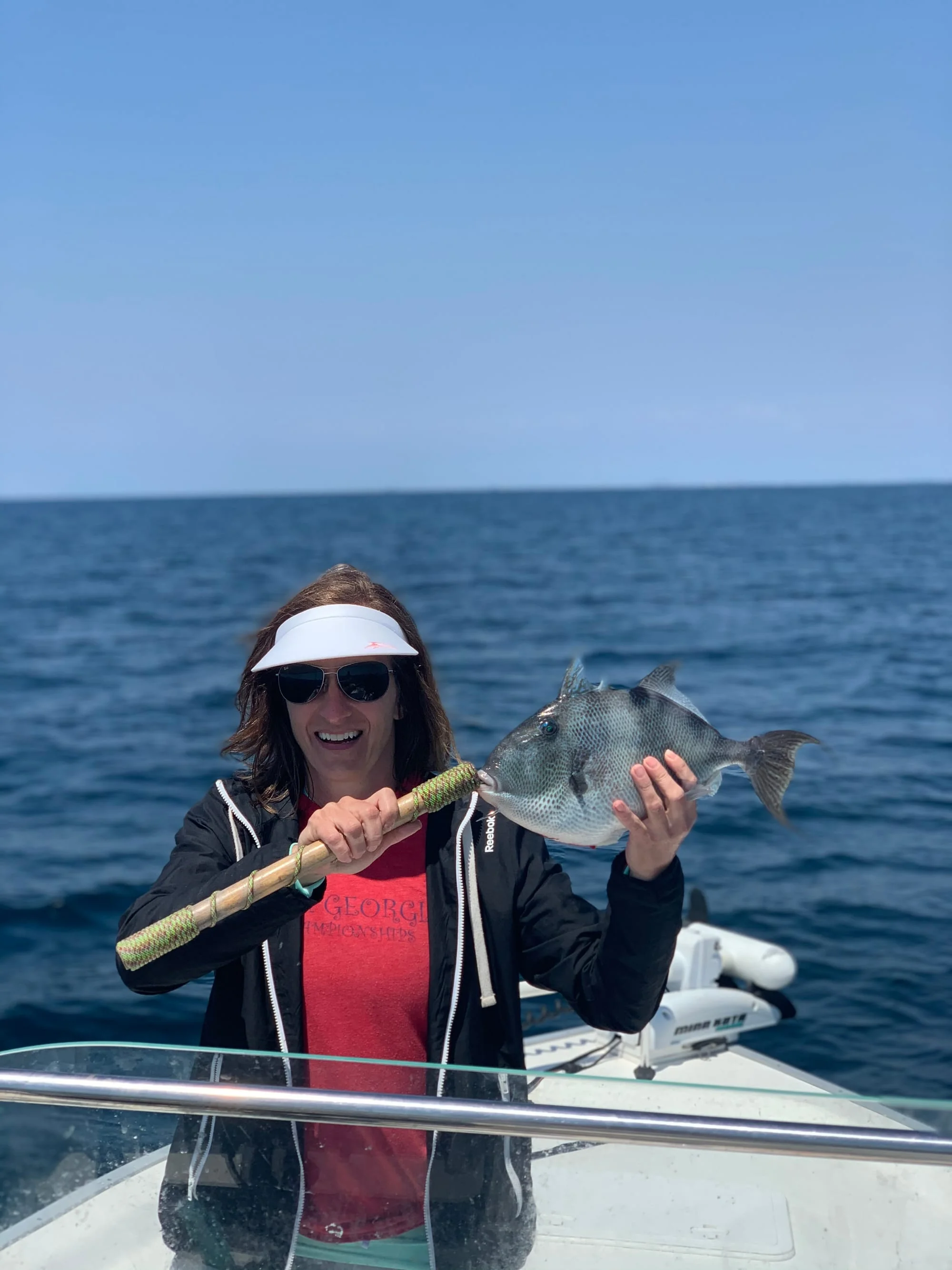 Grey triggerfish caught in Santa Rosa Beach