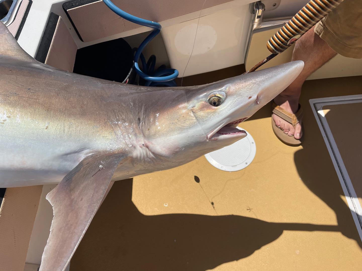 Fishing in CA