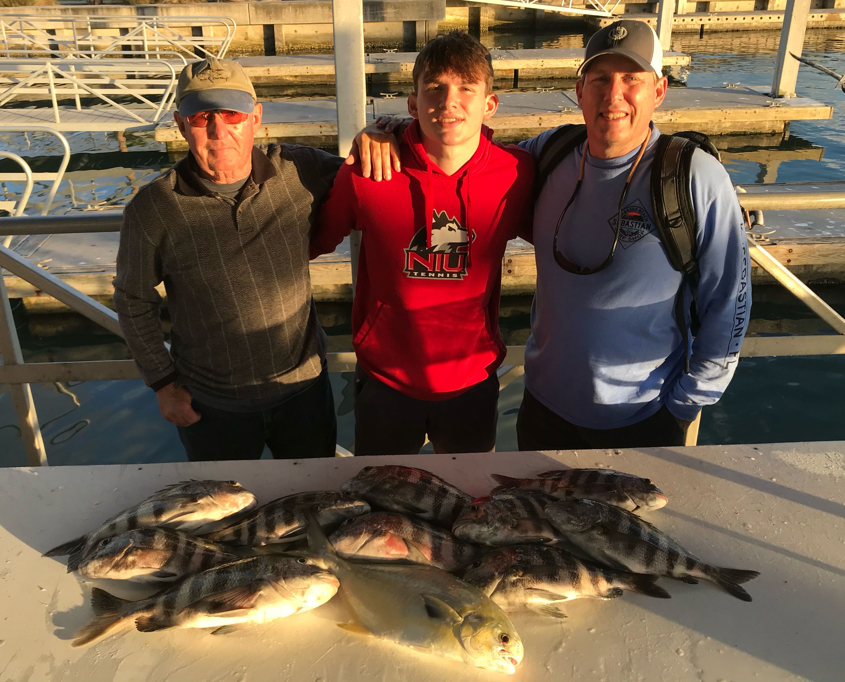 5 sheepshead, greater amberjack, and black drum fish caught in FL