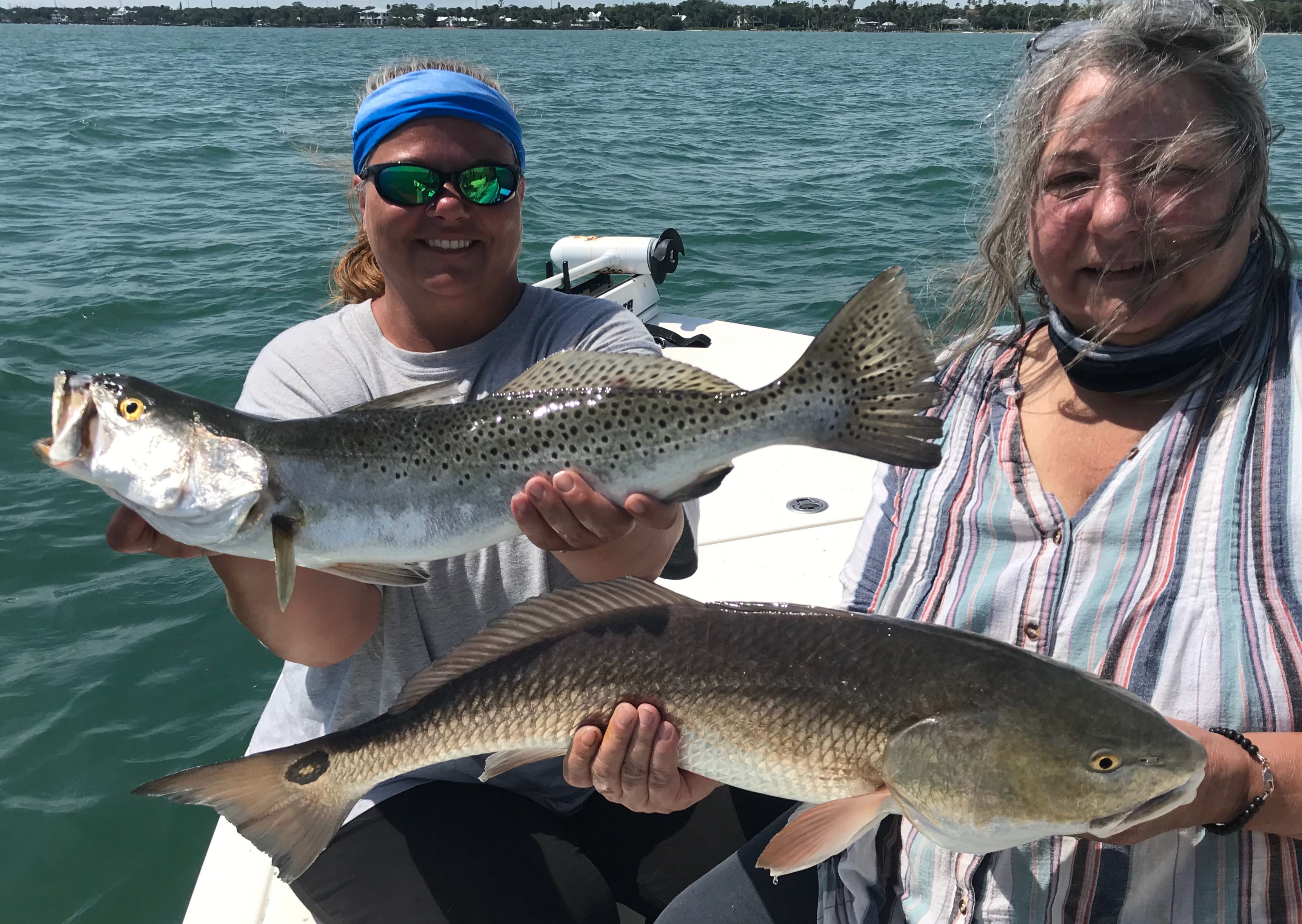 Two spotted weakfish, 39 inches long, caught while fishing in Fort Pierce