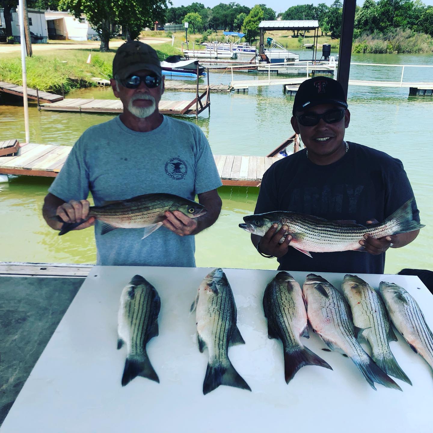 6 striped bass, yellow bass, and wiper fish caught in TX
