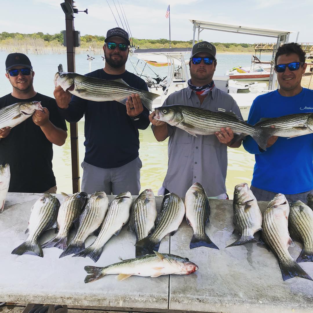 11 striped bass, fishing in TX
