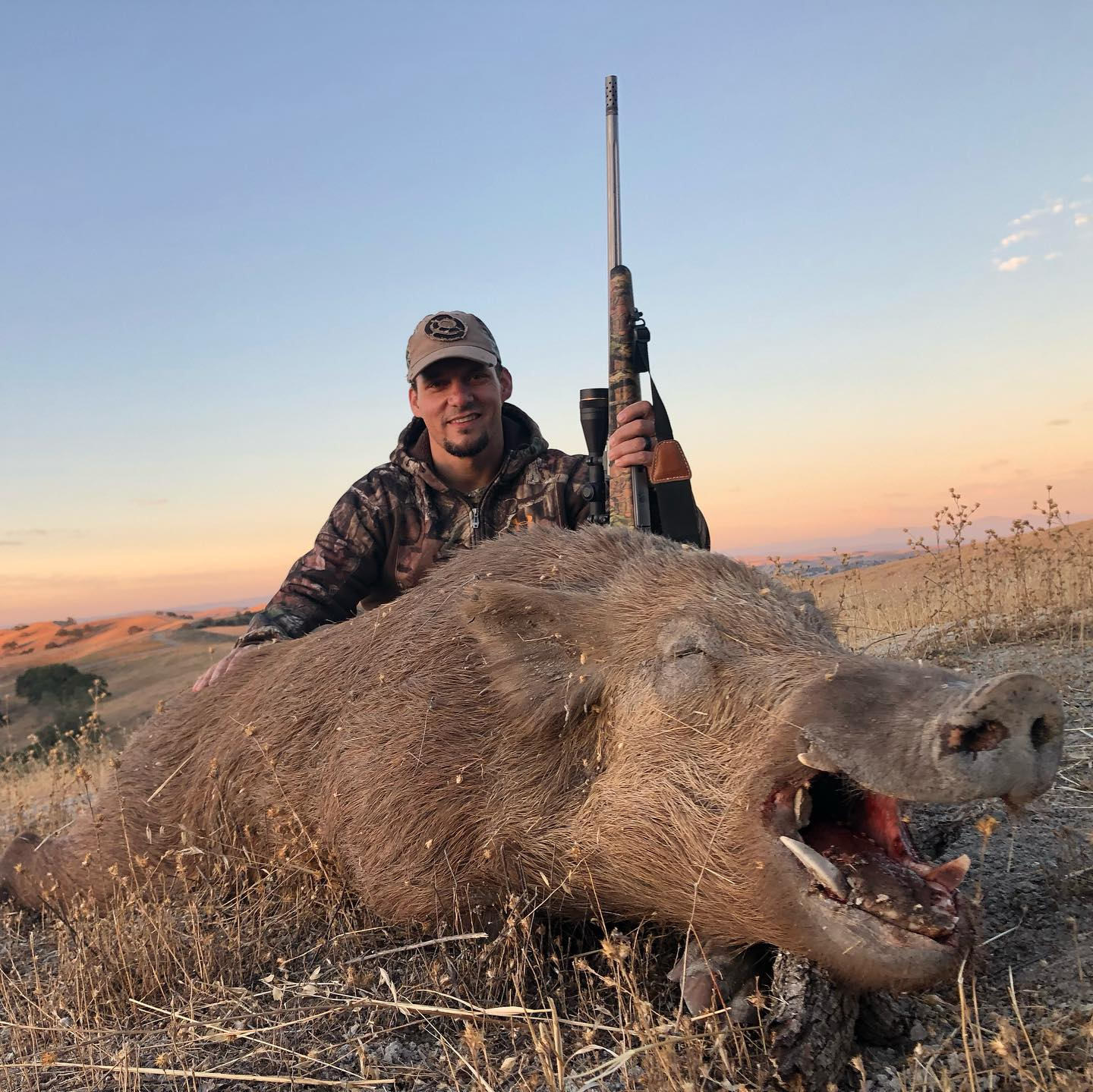 Hunting for the best catch in CA