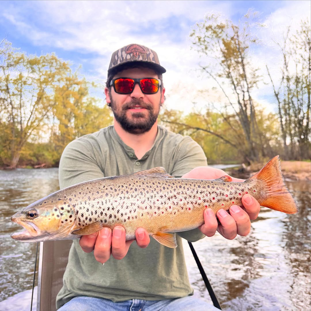 Brown trout caught fishing in Stanwood MI held over river water