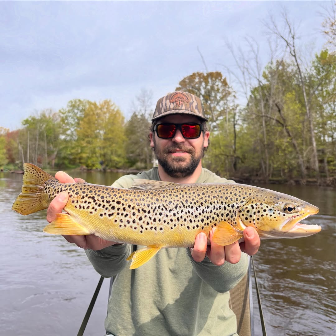 Brown trout catch from Stanwood MI fishing trip