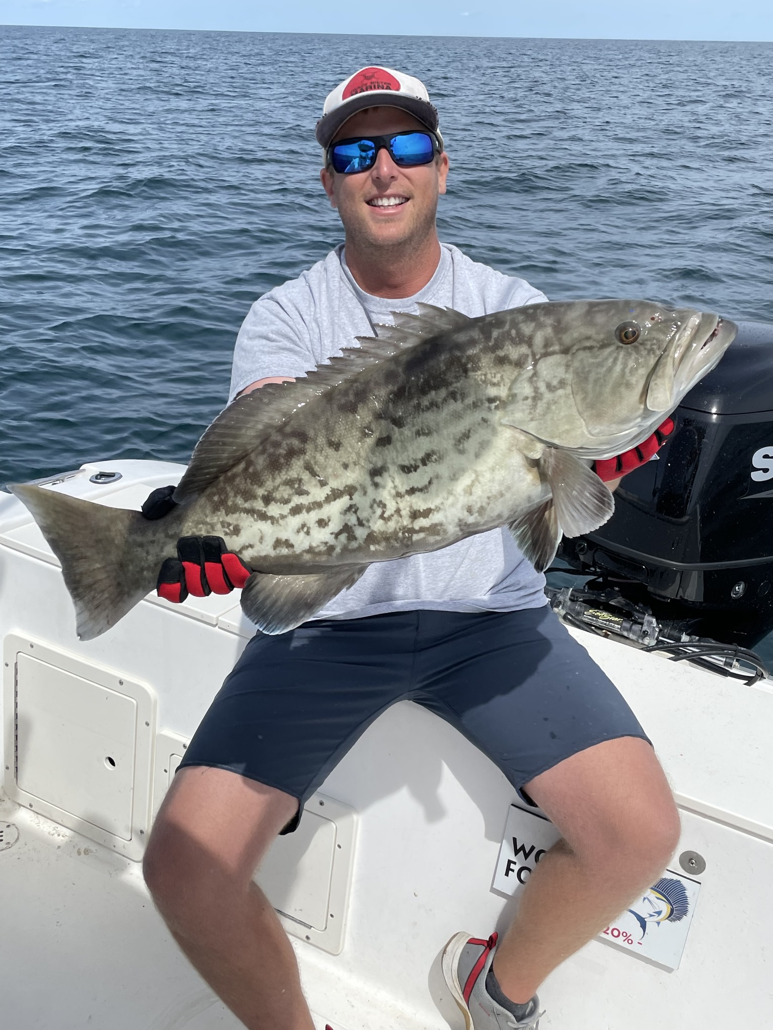 A gag grouper, a large fish, caught by a person in Murrells Inlet