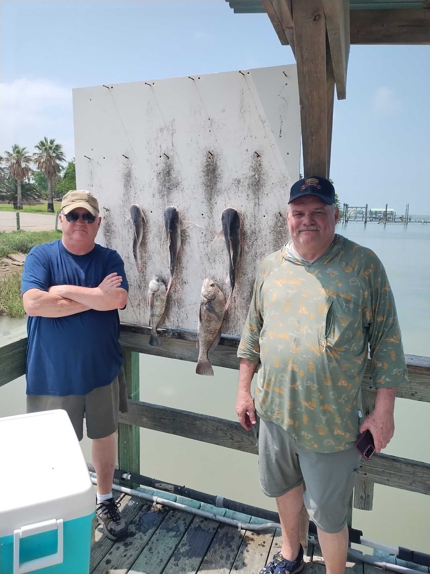 Black drum fishing catch displayed at cleaning station in Corpus Christi TX