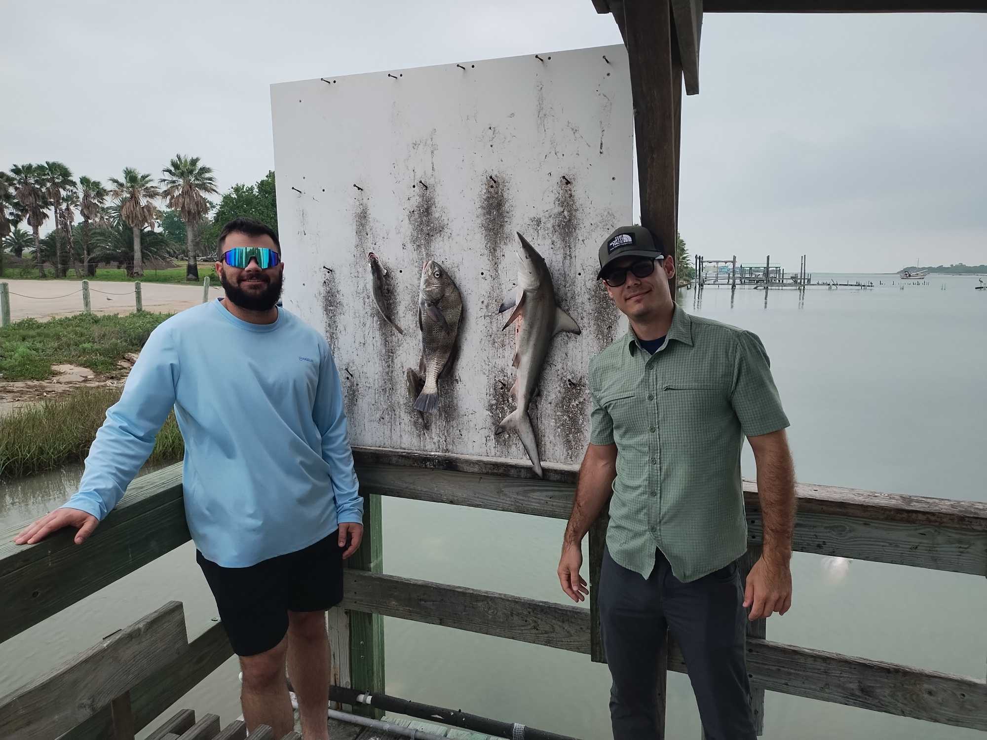 Blacktip shark and black drum displayed on cleaning station after fishing charter in Corpus Christi TX