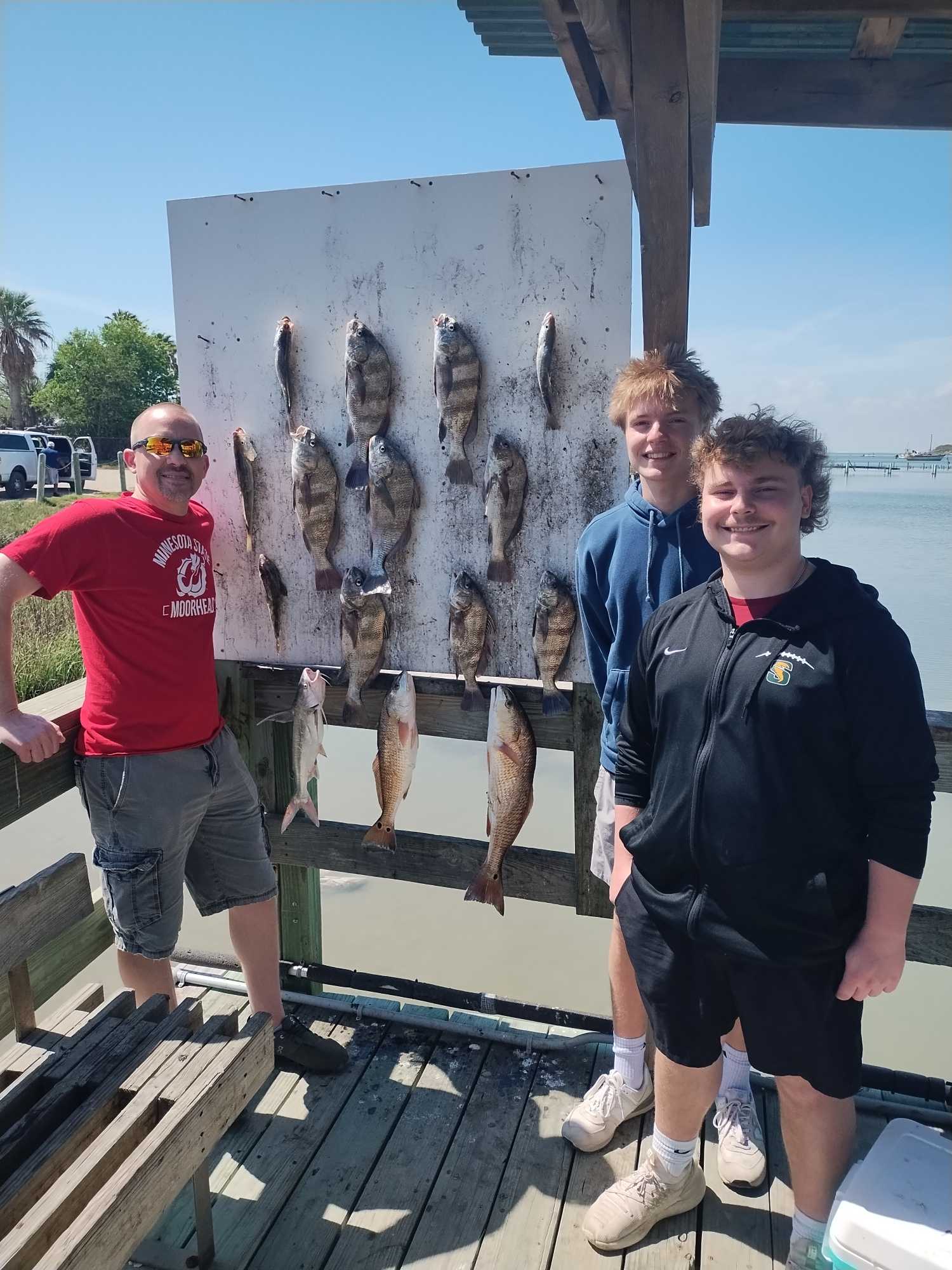 Successful fishing trip displaying caught redfish and black drum on cleaning board in Corpus Christi TX