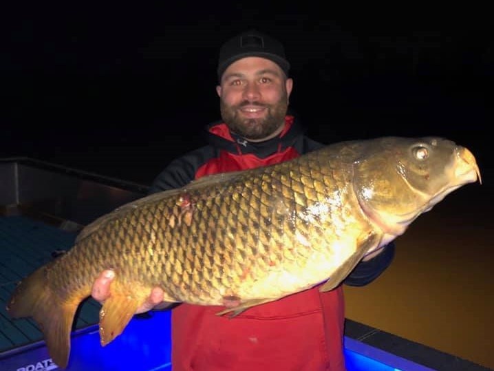 Common Carp caught in Trenton while fishing