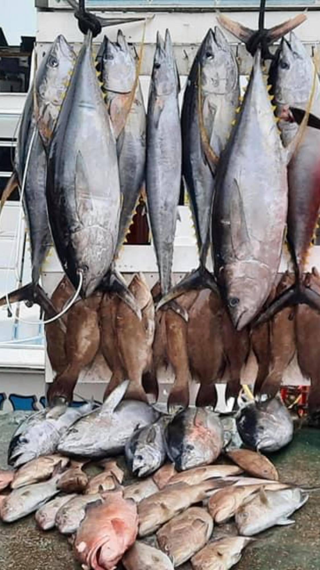 Four large blackfin tuna and spotted weakfish caught in AL