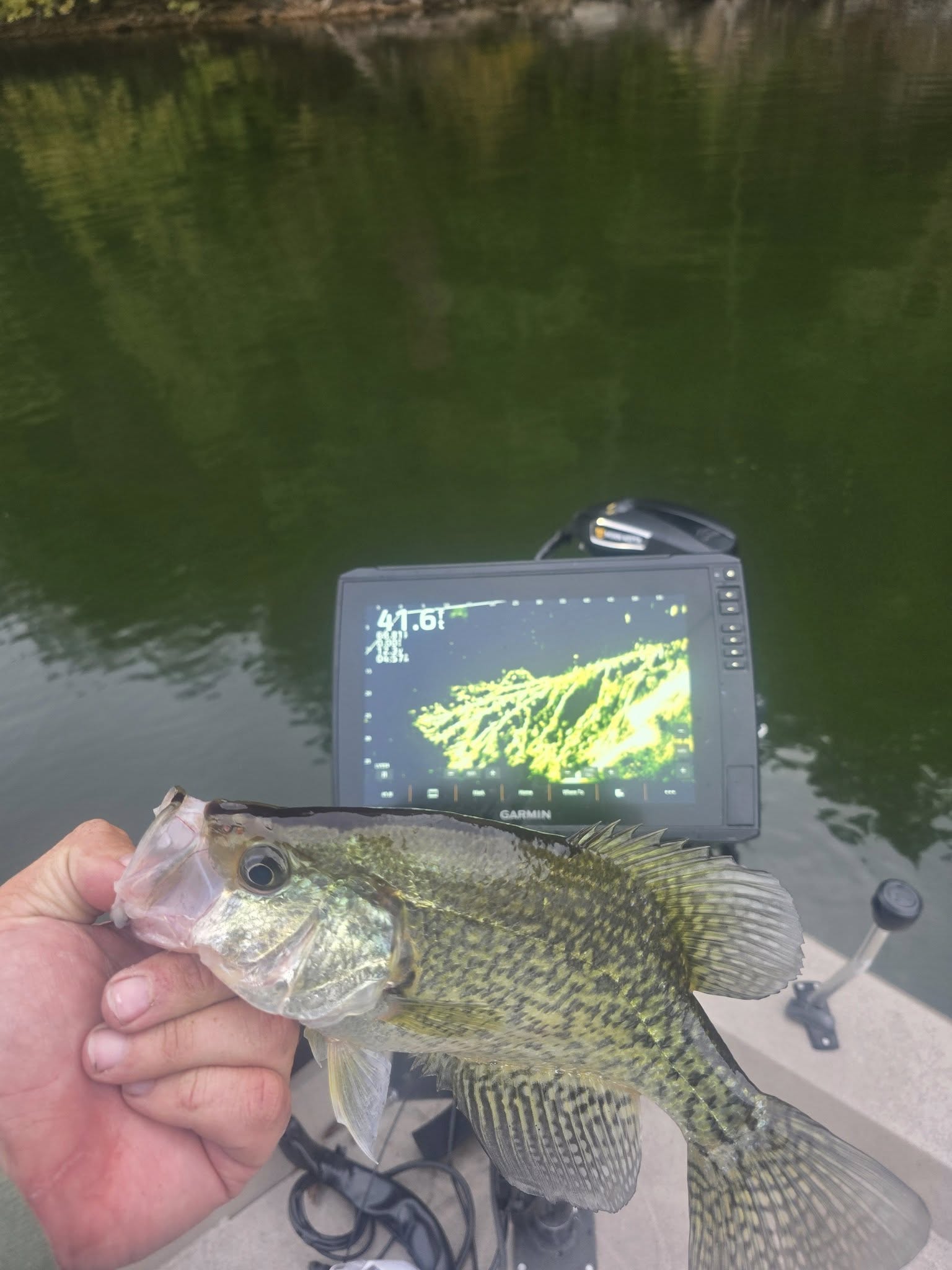 Crappie caught while fishing in Nashville TN with fish finder sonar display visible
