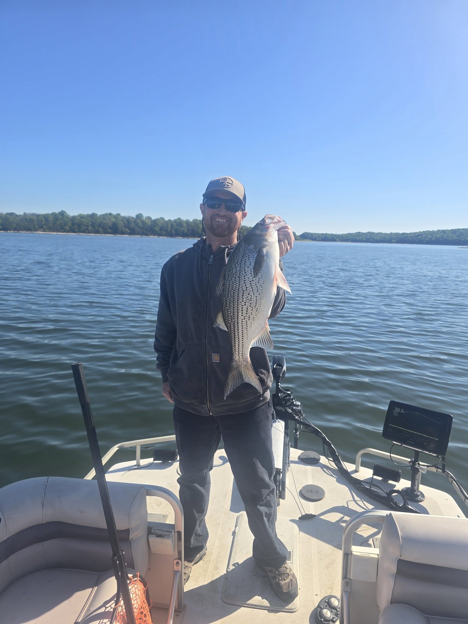 Angler holding caught striped bass on fishing boat in Nashville TN lake