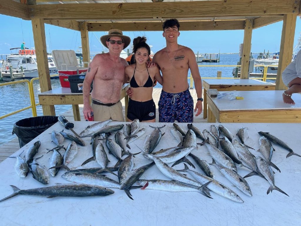 Three spotted weakfish, 33 inches, caught in Pensacola
