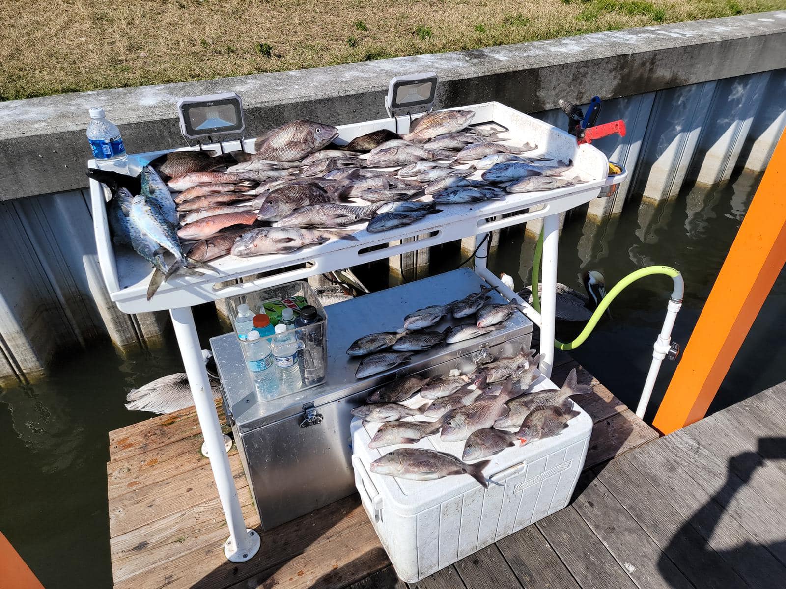 Fishing in Ruskin